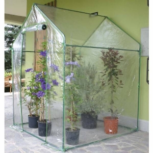 Serra Clematis cm 155x155xh205 - Verdemax