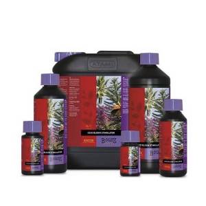 Atami - B Cuzz COCCO Bloom Stimulator 1L