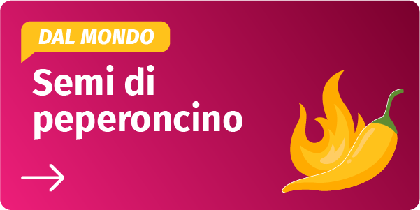 Semi di peperoncino piccante